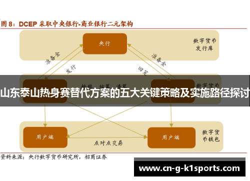 山东泰山热身赛替代方案的五大关键策略及实施路径探讨