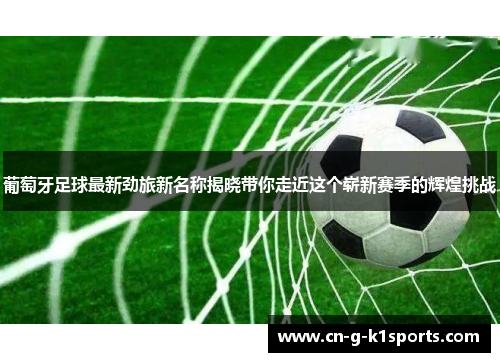 葡萄牙足球最新劲旅新名称揭晓带你走近这个崭新赛季的辉煌挑战