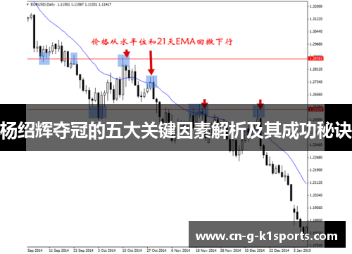 杨绍辉夺冠的五大关键因素解析及其成功秘诀